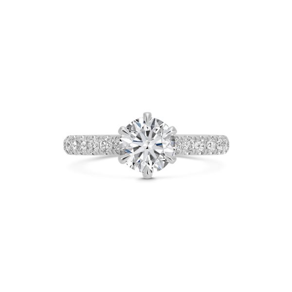 GRACE white gold Schn?ppchen